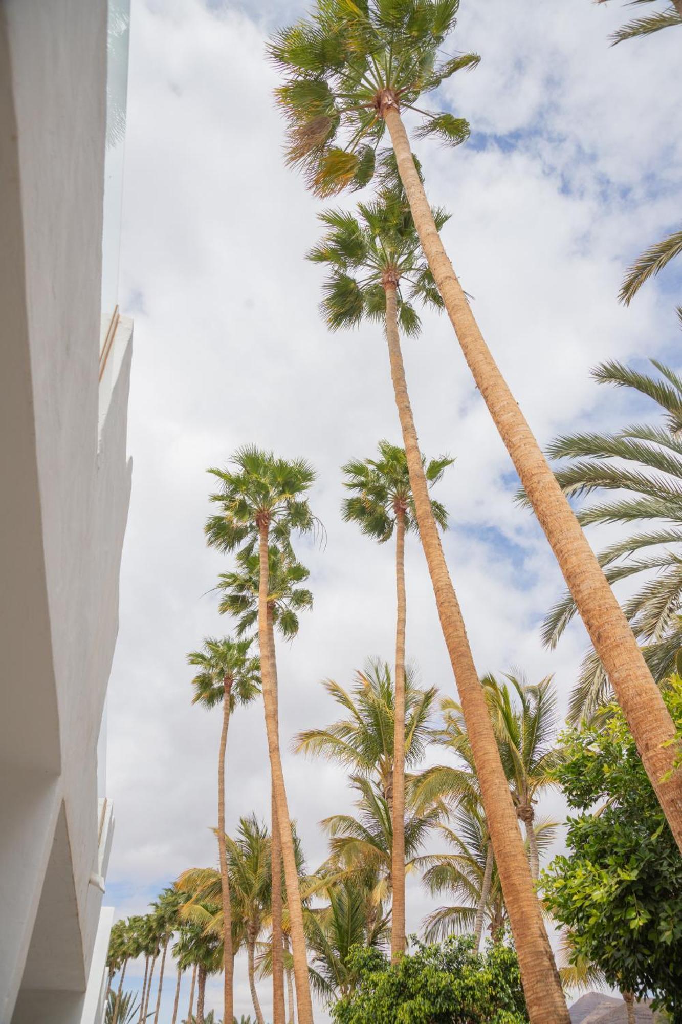 Palm Beach Fuerteventura Tarajalejo Εξωτερικό φωτογραφία