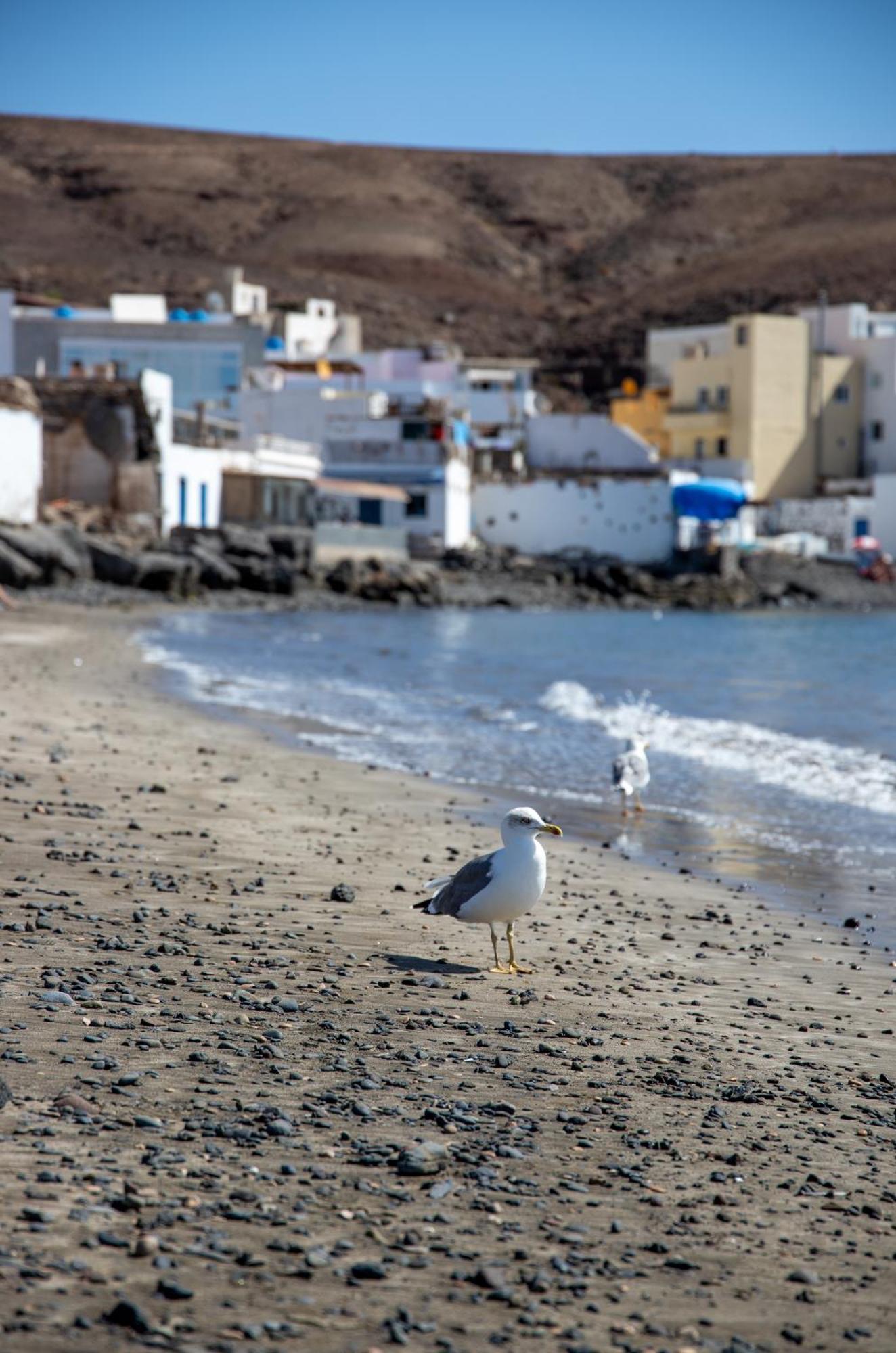 Palm Beach Fuerteventura Tarajalejo Εξωτερικό φωτογραφία
